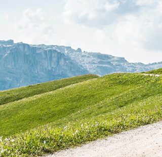 Renner XXL Magazin|Was ist der Unterschied zwischen Speedhiking und Trailrunnig?