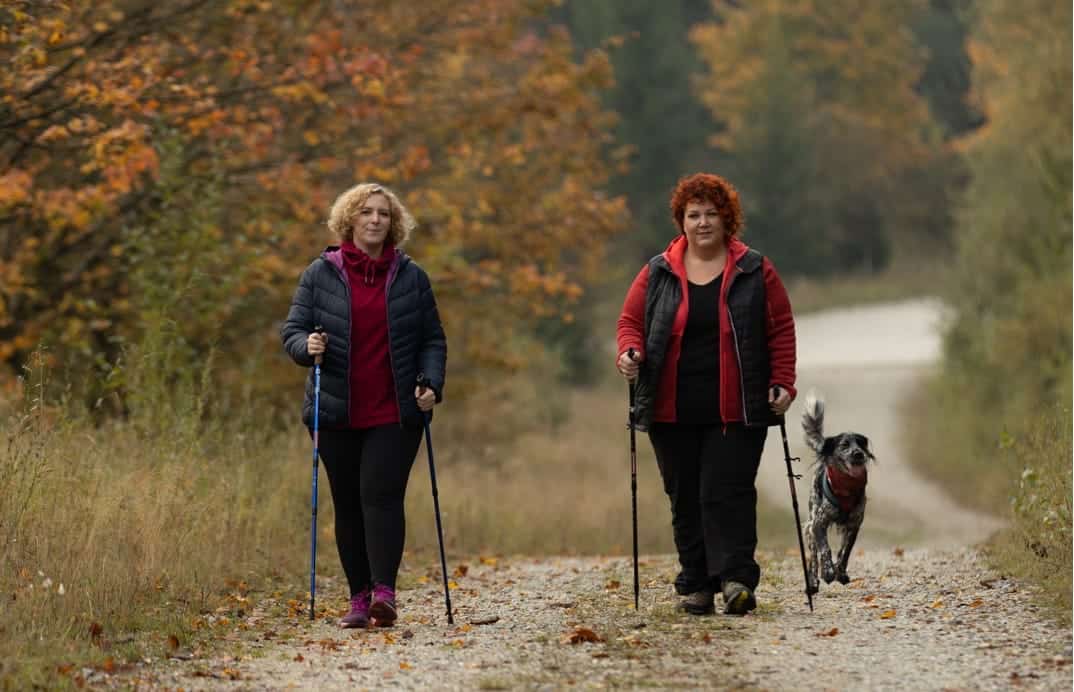Zwei Frauen wandern mit Stöcken und Hund im Herbstwald – Periode beim Wandern und Camping