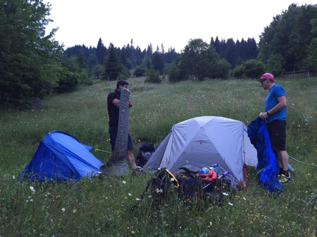 Two men in a grassy field setting up tents among wildflowers with gear scattered nearby.