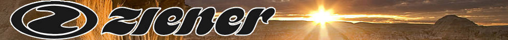 ziener logo