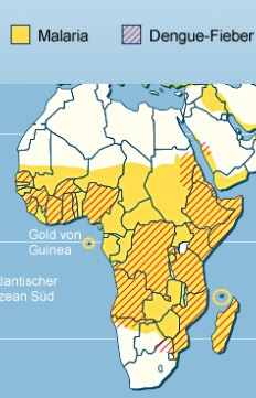 Malaria und Dengue Fieber in Südamerika